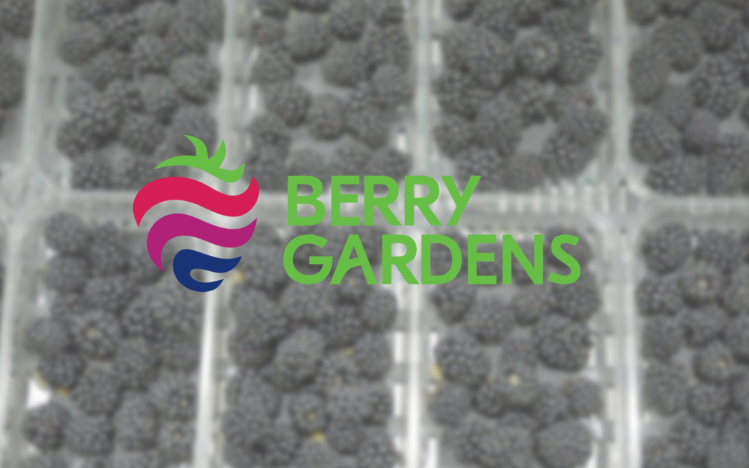Berry Gardens